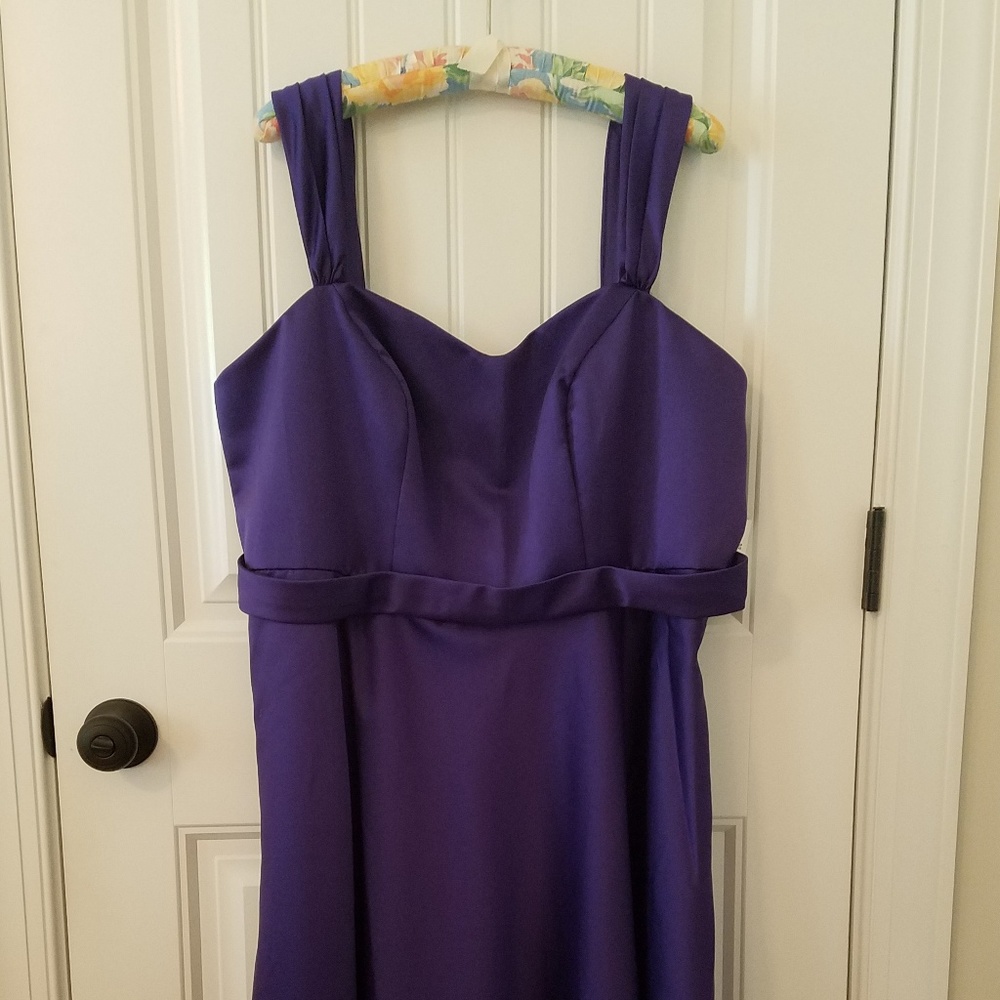 NWT David's Bridal Tea Length Gown